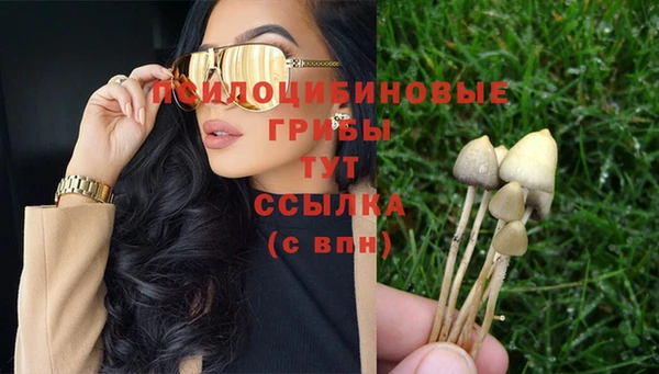 2c-b Абаза