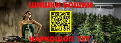 крисы Конаково