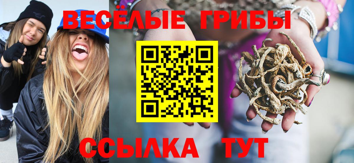 Донской  Галлюциногенные грибы GOLDEN TEACHER  Вход с VPN 